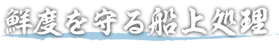 鮮度を守る船上処理