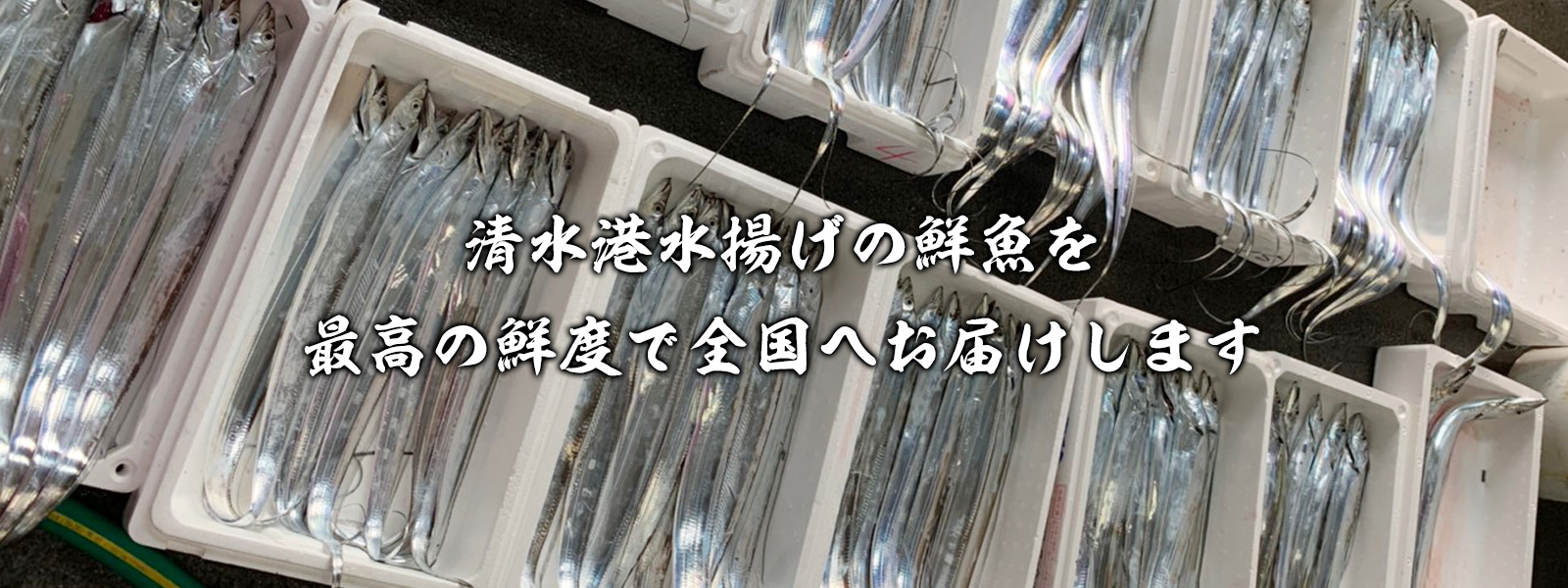 清水港水揚げの鮮魚を最高の鮮度で全国へお届けします