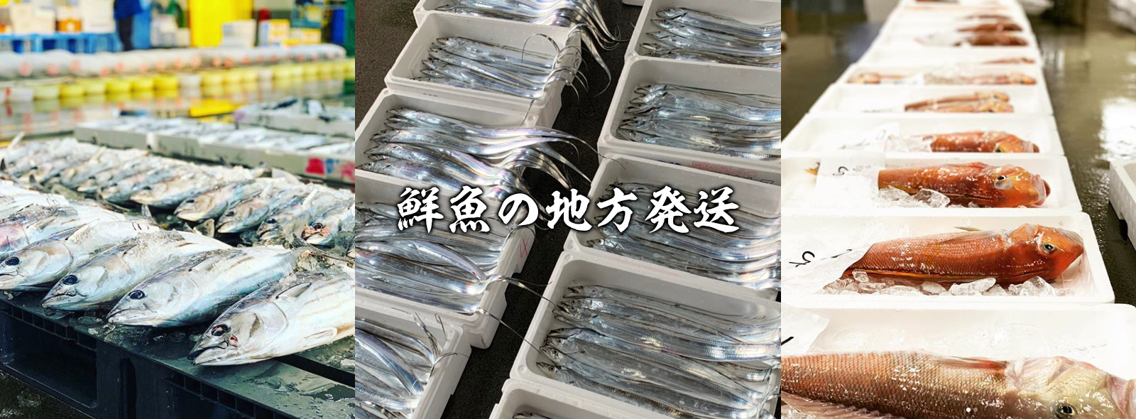 鮮魚の地方発送
